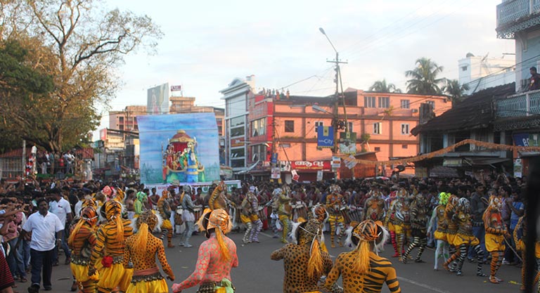 cheer-for-your-neighbourhood-tigers-3